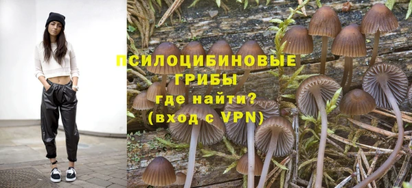 гидра Алзамай